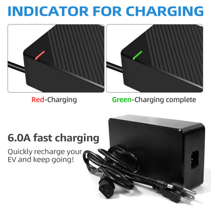 Chargeur rapide pour scooter électrique 48V 6A (1 prise) pour RZ800