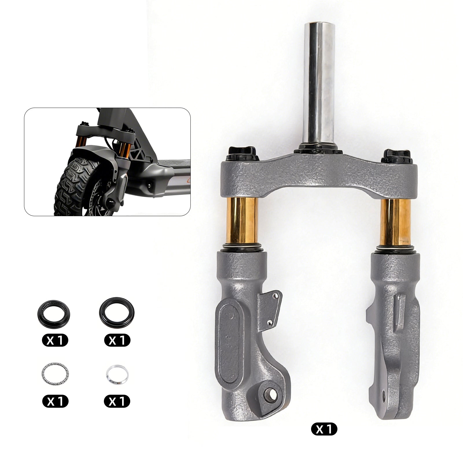 Front Suspension Fork for RZ800